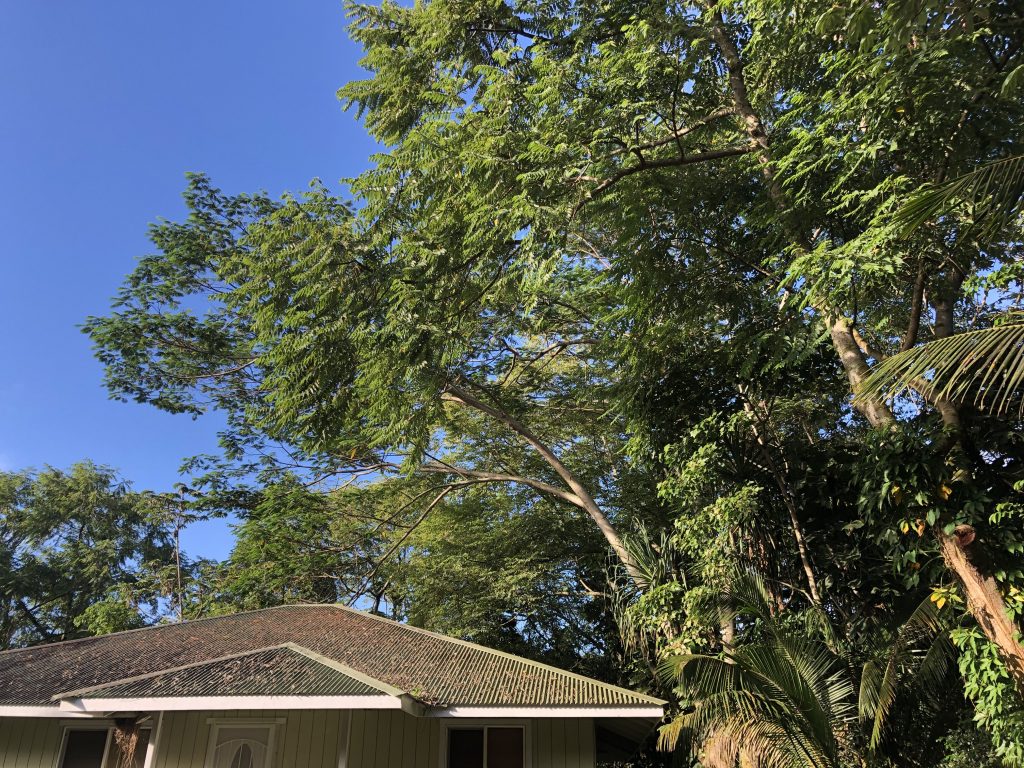 Listing cover image