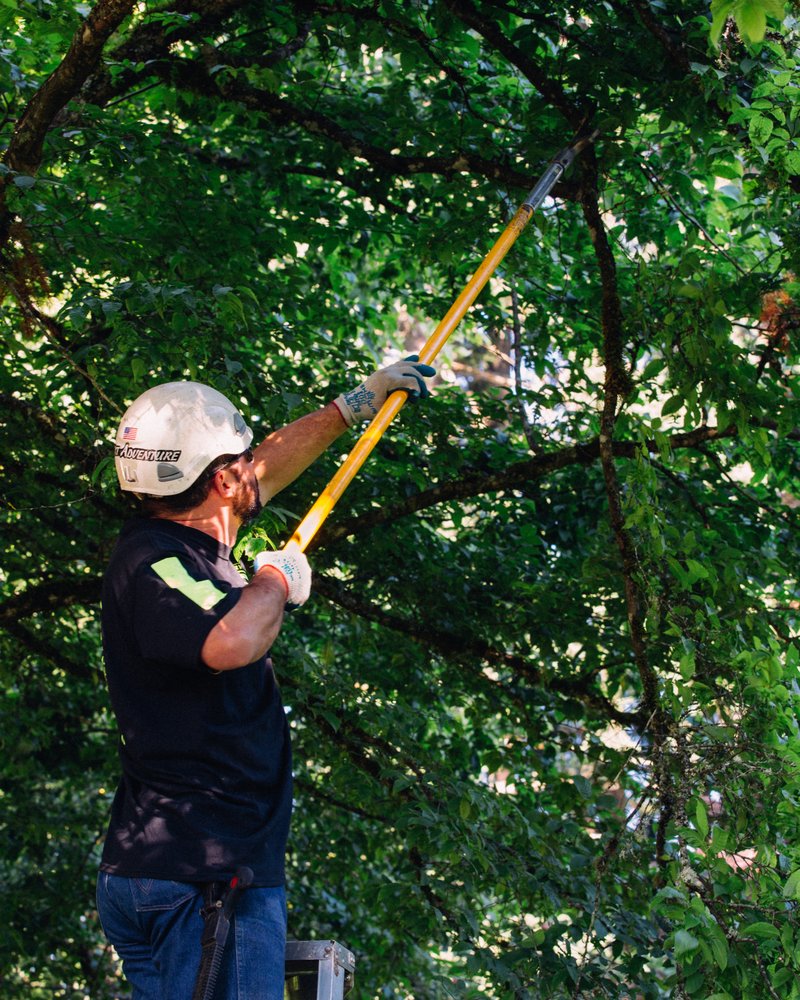 Reviews on Rich�s Tree Service from Fairview, Oregon are