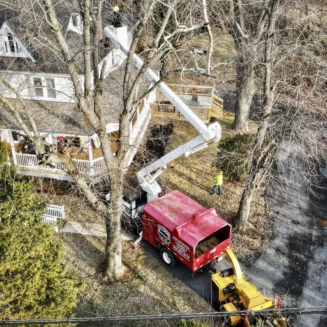 Expert Tree Service in Winchester Virginia gallery 6