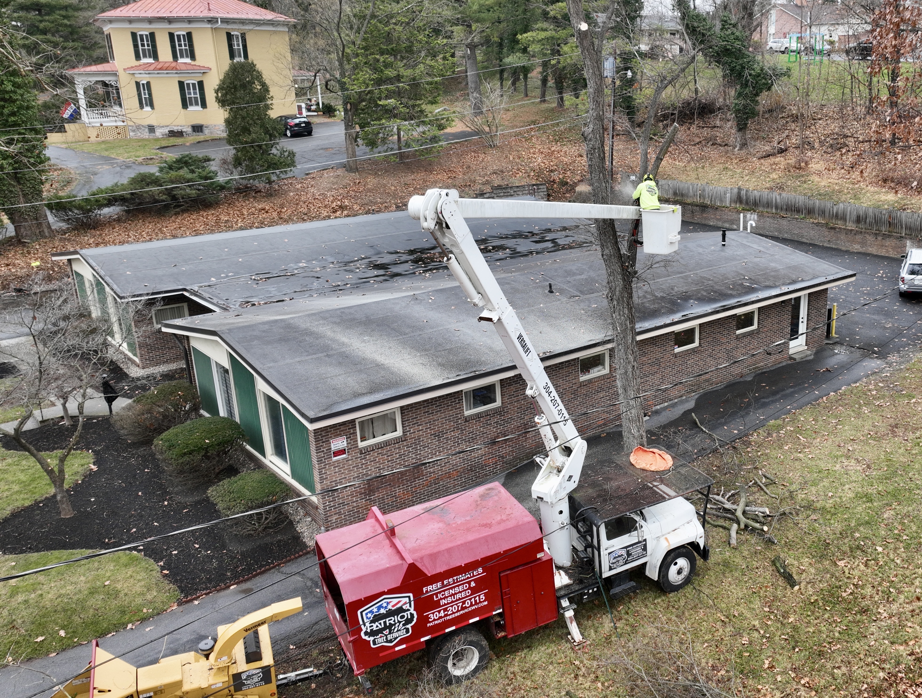 Expert Tree Service in Winchester Virginia gallery 1